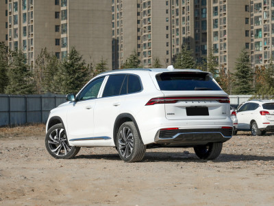 Geely MONJARO Фото №6